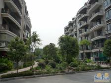 中央美苑 1室1厅 南