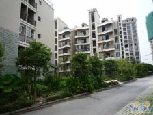 城南新区 中央美苑一房80万