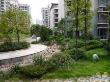 城南新区 中央美苑二房74万