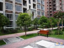 城南新区 中央美苑四房80万