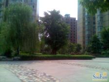 城南步行街、繁华地段的小区,税费低,小区成熟