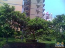 城南新区 海宇状元府第四房139万