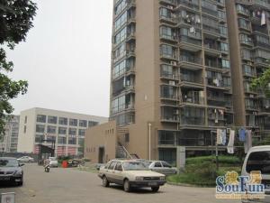 19号线驿城站09年商品房全明西边套双卫