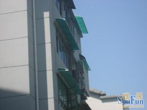 城站浙二市三低总价全明三房东边套诚心出售