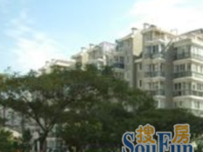 新上!电梯洋房,位置好,一梯两户,南北通透,满五年,看房方便