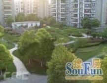 电梯复式,带露台,价可谈,位置好沿河景观房