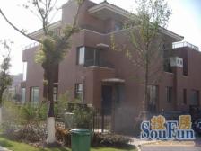 新上联排边套别墅,带地下室精装修,实际使用面积超350平!