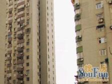 《全新装修》《拎包入住》《高区景观》《鸟瞰三件套》