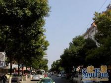 诚售|川中加园西|中间楼层|自住精装修|近2号线|全明户型