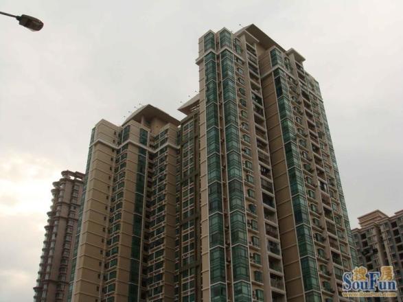 洪湖春天