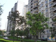 邦兴佳苑 3室1厅 东南