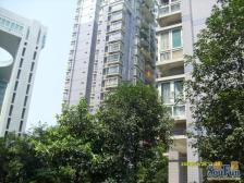 龙溪镇 聚景园三房