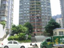 聚景园 5室1厅 东南