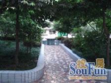 花卉园 鸥鹏花园二房45万