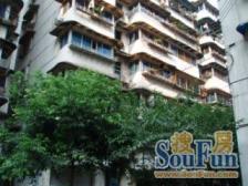 花卉园 鸥鹏花园二房40万