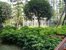 北岸新洲 5室2厅 北