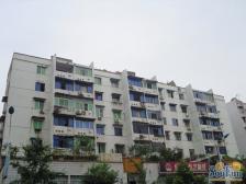 此房三室两卫,户型方正,采光充足。。