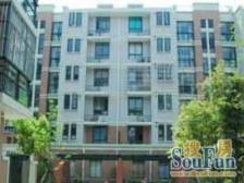 送阁楼!送阁楼!05年商品房,南北通透,精装修,采光好,诚售