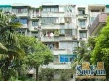 喜鹊飞机户型,中间楼层,房东诚意看中价格可谈