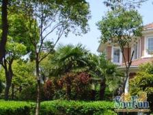 枫林雅苑6室南朝向1225.00万元/套出售