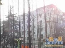 朝南一室户+厨卫全明+即买即住+甘泉宜川内环边
