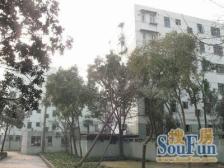 甘泉宜川·新宜小区-宜川路413弄·1室·1厅