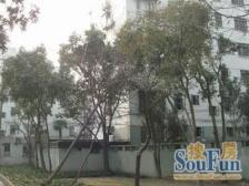 一梯四户,小户型,交通便利,不靠近马路,一楼送花园,房型正气