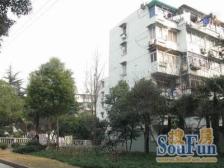块热门小区~底楼带天井V1在售房源,实用性强,售价还可谈
