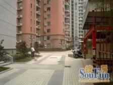 颐德名苑3室1厅东南南西