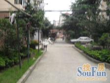 新华路·杨宅小区·1室·1厅