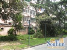 带天 近地铁 无抵押,产权清晰 现场实勘,必看好房