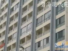 碧海现代苑 1室1厅 北