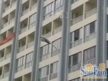 碧海现代苑 1室1厅 北