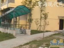 碧海现代苑 1室1厅 南