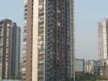 明华龙洲半岛 3室1厅 西南