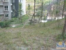 龙洲湾 曦园江南华都一房50万