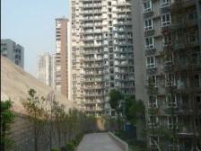 龙洲湾轻轨站旁边 户型方正 采光好 空气流通性好 业主诚心出售