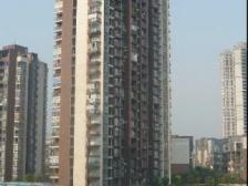 龙洲湾近轻轨,正规两房出售,价格美丽