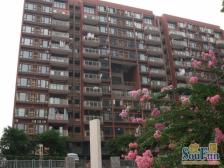 龙头寺 华宇北城中央四房210万