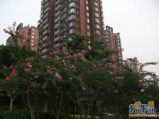 华宇北城中央 2室1厅 东南