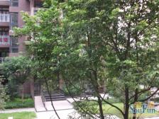 龙头寺 华宇北城中央二房92万