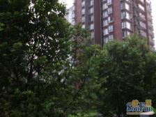 轻轨站旁,房子户型方正, 无浪费面积,经营旅馆.