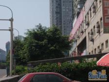 近轻轨,单价九千,正规三房,价格可以谈