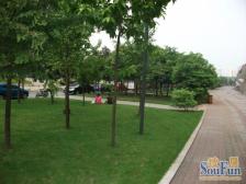 龙头寺 天江鼎城博园二房123万