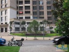 龙头寺 天江鼎城博园三房118万