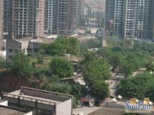 龙头寺 丰业御景铭洲四房