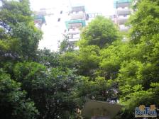 鱼洞 假日滨江花园鹭岛纯水岸三房67万
