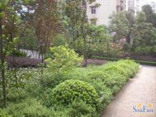 鱼洞 万友康馨苑四房83万