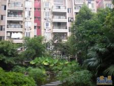 滕王阁二期 童话森林 4室2厅