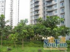 玖福金座 1室1厅 东南